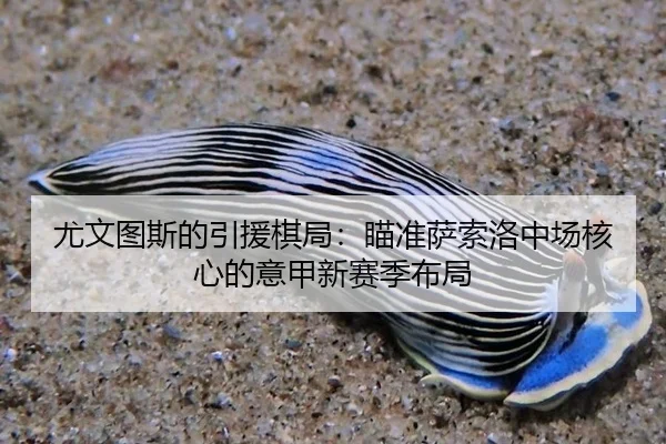 you-wen-tu-si-de-yin-yuan-qi-ju-miao-zhun-sa-suo-luo-zhong-chang-he-xin-de-yi-jia-xin-sai-ji-bu-ju-2-283.jpg