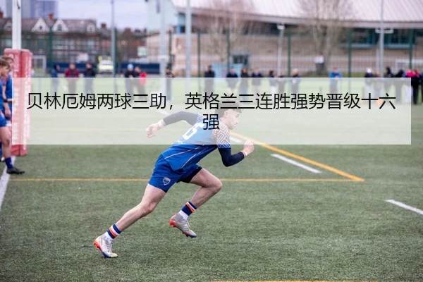 bei-lin-e-mu-liang-qiu-san-zhu-ying-ge-lan-san-lian-sheng-qiang-shi-jin-ji-shi-liu-qiang-2-453.jpg
