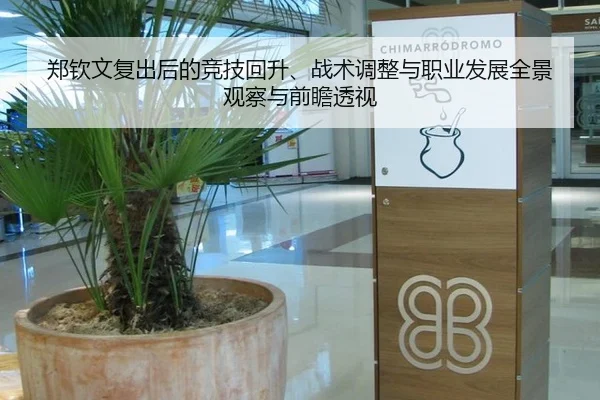 郑钦文复出后的竞技回升、战术调整与职业发展全景观察与前瞻透视